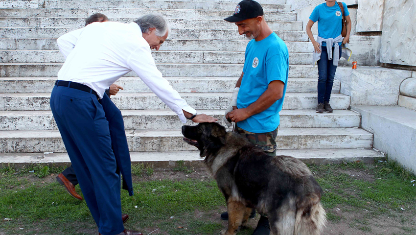 Il Presidente Malagò al Dog Festival