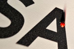 Casa Italia Padle Ph Simone Ferraro SFA05337 copia