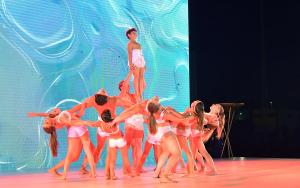 sfb_6339_copia_20190926_1030558938