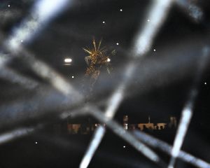 cerimonia chiusura  ph bizzi agu