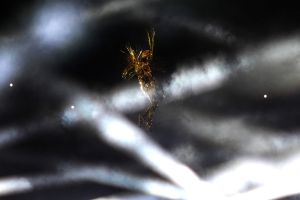 cerimonia chiusura dsc07355 luca pagliaricci ph