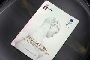 0012 collari oro lpg09081 ph di tondo pagliaricci coni  ph di tondo pagliaricci coni 