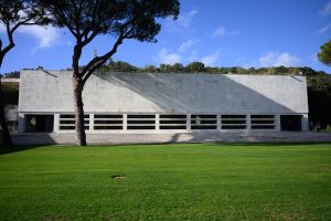 0014 collari oro 2025 collari oro 2025 03nov25 ph di tondo ph di tondo pagliaricci coni 