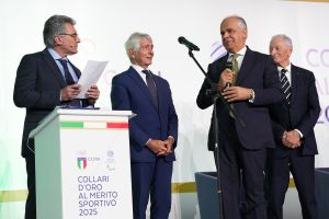 0218 collari oro lpg00308 ph di tondo pagliaricci coni  ph di tondo pagliaricci coni 