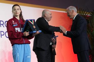 0250 collari oro lpg00576 ph di tondo pagliaricci coni  ph di tondo pagliaricci coni 