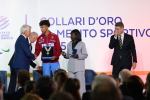 0313 collari oro 2025 collari oro 2025 03nov25 ph di tondo ph di tondo pagliaricci coni 