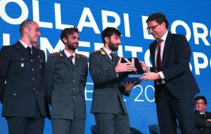 collari d oro mezzelani pagliaricci gmt257