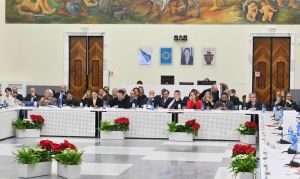 consiglio nazionale 17 dic foto mezzelani gmt