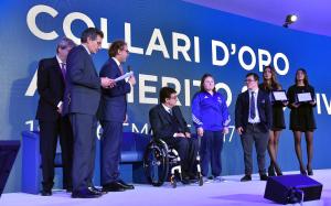 collarimezzelaniferrarogmt536