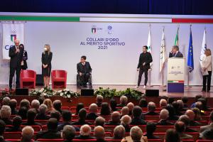 12 Ginnastica Collari d Oro SF109487 copia