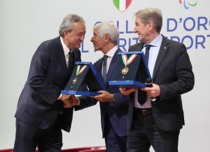 coni collari d oro lpg00122 ph pagliaricci