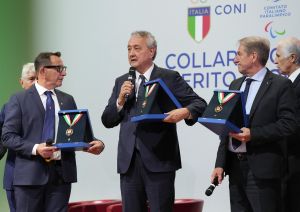 coni collari d oro lpg00147 ph pagliaricci