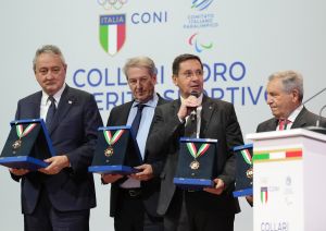 coni collari d oro lpg00180 ph pagliaricci