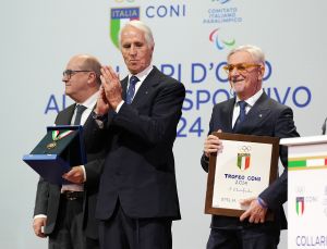 coni collari d oro lpg00366 ph pagliaricci