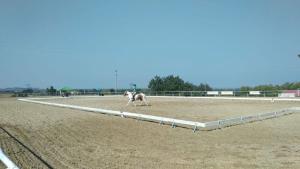 42258321_2152265111683115_178843456112689152_o