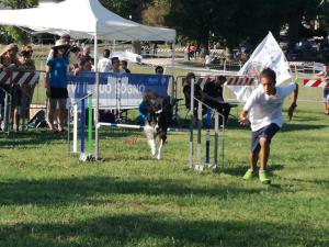 42311000_2152283915014568_2058563484076998656_o