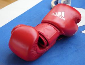 Pugilato Ph Luca Pagliaricci LPA07084 copia 