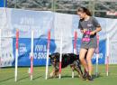 Agility Dog Trofeo CONI Ph Simone Ferraro SFA02031