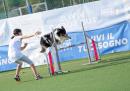 Agility Dog Trofeo CONI Ph Simone Ferraro SFA02074