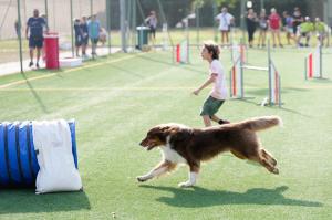 Agility Dog Trofeo CONI Ph Simone Ferraro SFA02121