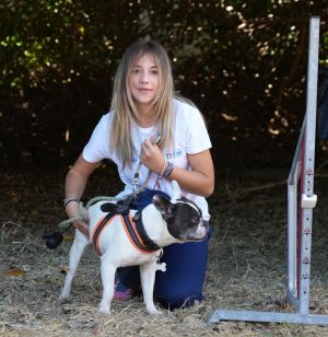 trofeo coni agility dog sfe08642 simone ferraro ph