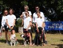 trofeo coni agility dog sfe08797 simone ferraro ph