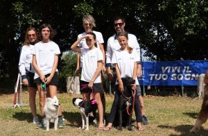 trofeo coni agility dog sfe08797 simone ferraro ph