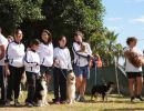 trofeo coni agility dog sfe08818 simone ferraro ph