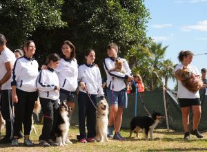 trofeo coni agility dog sfe08818 simone ferraro ph