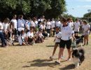 trofeo coni agility dog sfe08842 simone ferraro ph