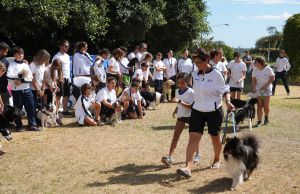 trofeo coni agility dog sfe08842 simone ferraro ph