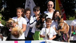 trofeo coni agility dog sfe09071 simone ferraro ph